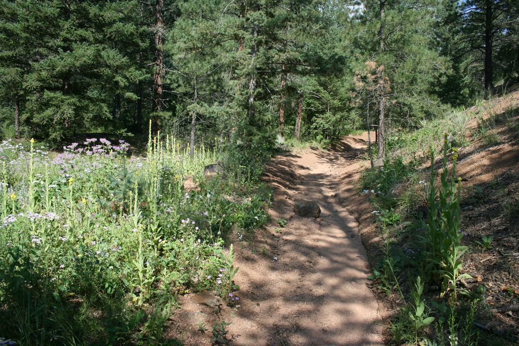MANITOU INCLINE ALTERNATES